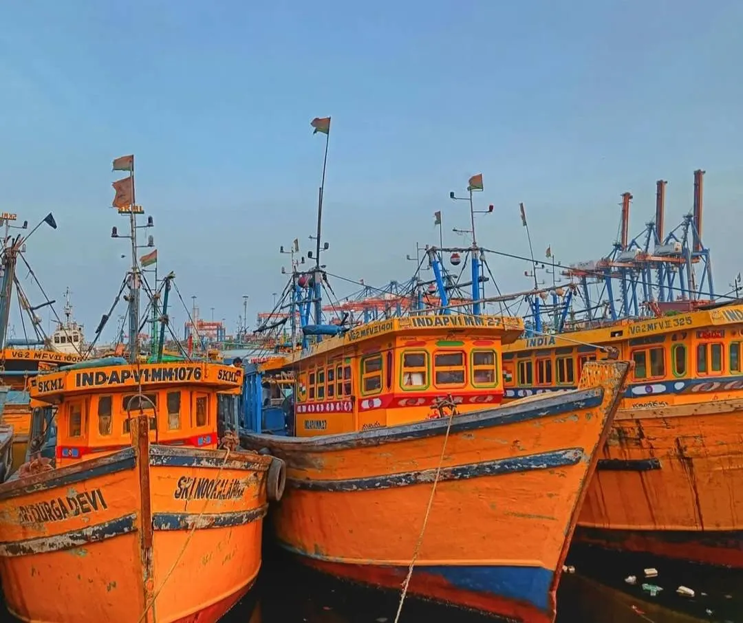 ReALCRaft Portal Exposes Sensitive Fishermen Data, Raising Major Privacy and Security Alarms - Section image